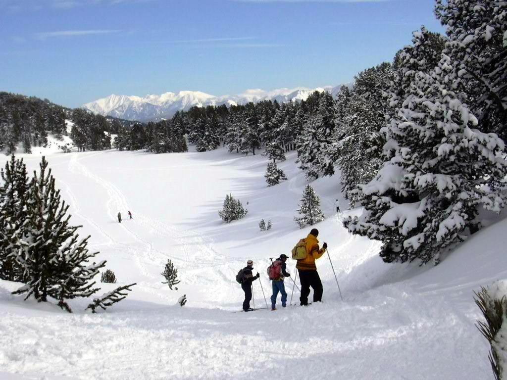 Le Chalet Du Ticou Bolquere Pyrenees 2000 Esterno foto